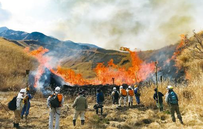 在宅当番医制事業
