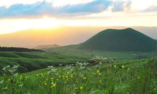 阿蘇の草原