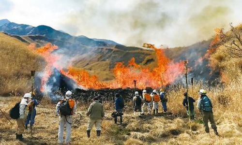 野焼きの様子
